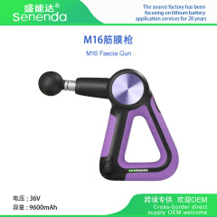M16 プロフェッショナル理学療法グレード筋膜銃三角筋膜銃スポーツフィットネスマッサージャークロスボーダー限定