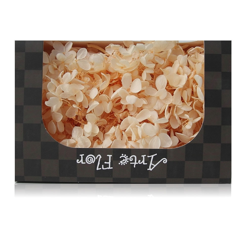 우드 수국 영원히-샴페인 20g