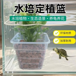 ˮ�ඨֲ�@�Ӻ�͸�ⷽ�����Ϲ̶��@�~�����ԾG�}�m������ˮ����N