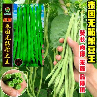 ̩���o��ܶ����N�ӷN�Ѷ��N�ļ����ݶ���ܿ���o��o�z�ⶹ�߲�