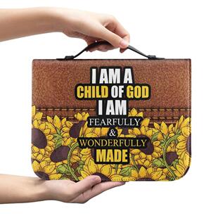���R�d���տ�Ү���ABible bag��D���������๦�������һ�����l