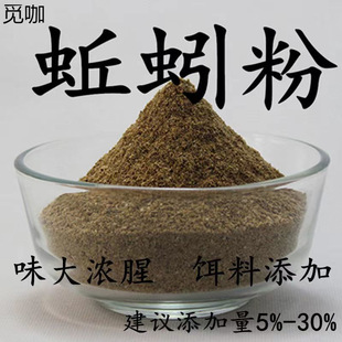 �D�����ӄ��S�X�����������ڸ߱���sҰីC���T�~���ȸɷ�