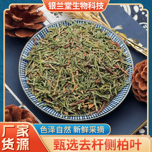 中药材批发侧柏叶 柏树叶500g四川产地柏树叶侧柏叶打粉一件代发-阿里巴巴