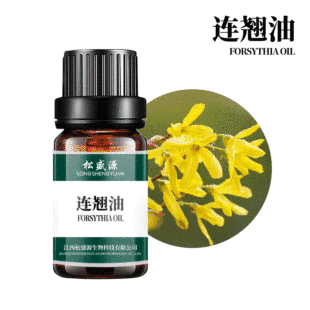 �S�ҬF؛���� �B�N�� �B�N���� ֲ��η����� ������ �ջ�ԭ��