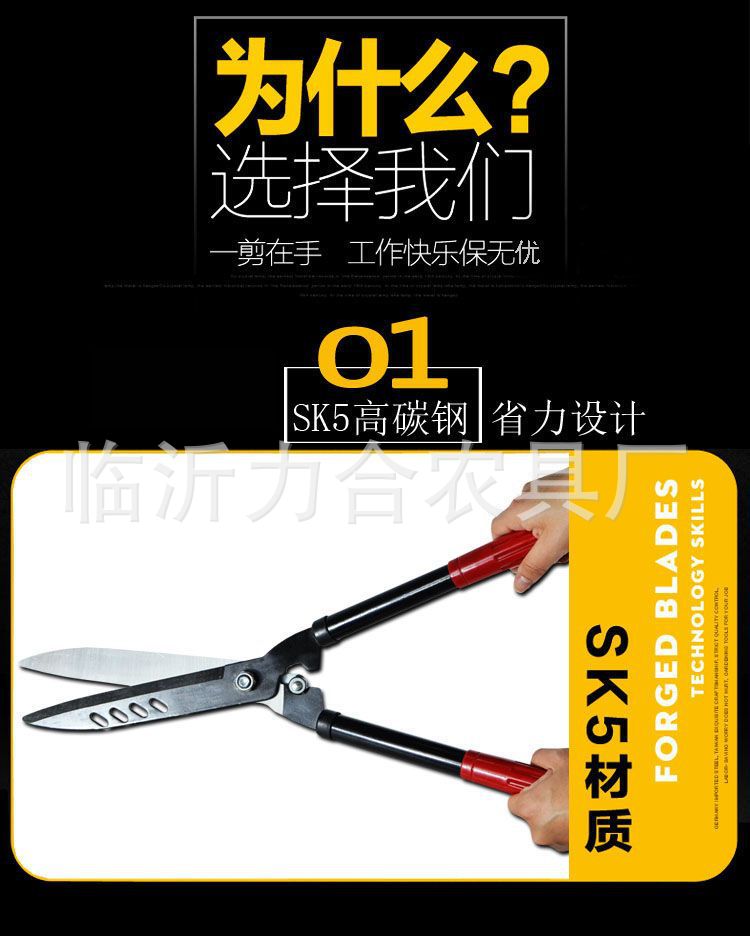 详情-4.jpg?x-oss-process=image/format,png