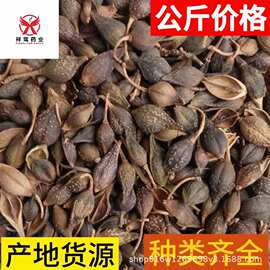野生中药材连翘 青翘现货批发零售1000克中后期货干燥无杂含量足