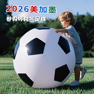 2026���籭ɳ�����⃺ͯ���������ɳ�������к�СƤ��