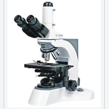 永新光学N-800M实验室生物显微镜无限远光学柯拉照明效率高稳定好
