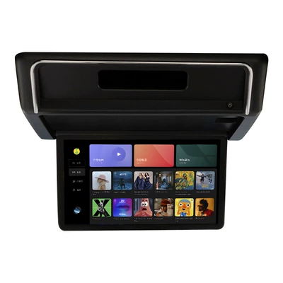 Car CeiLing Tv, Car TV