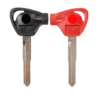 Motorcycle Key — Embryo with Magnet