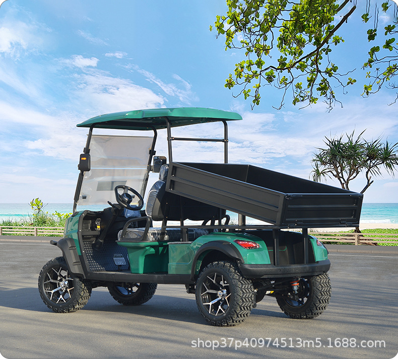 Electric Golf Cart Scenic Park Tour Off-road Electric Sightseeing Car Four-wheel 2-seat Bucket Export