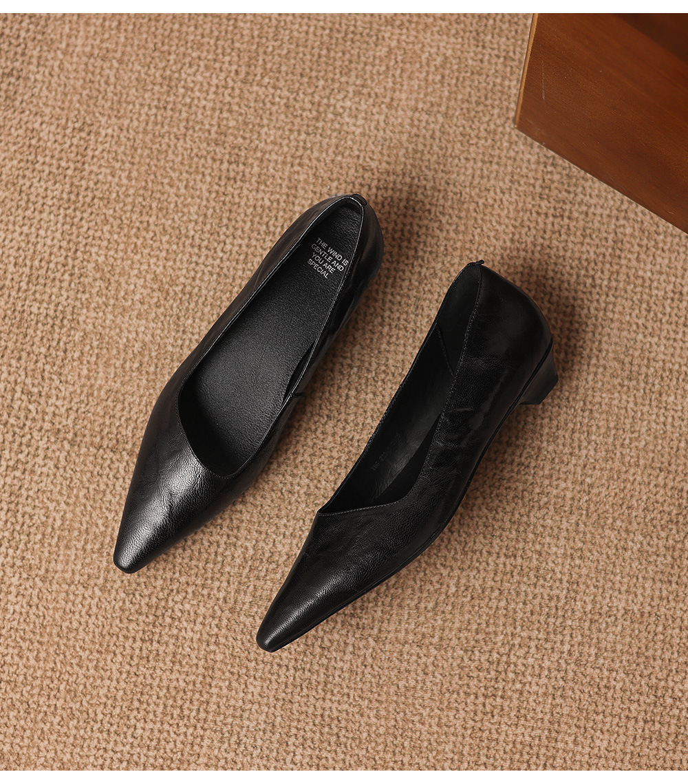 Giày cao gót nữ mũi nhọn da cừu gót thấp 2.5 cm — đen chi tiết 23
