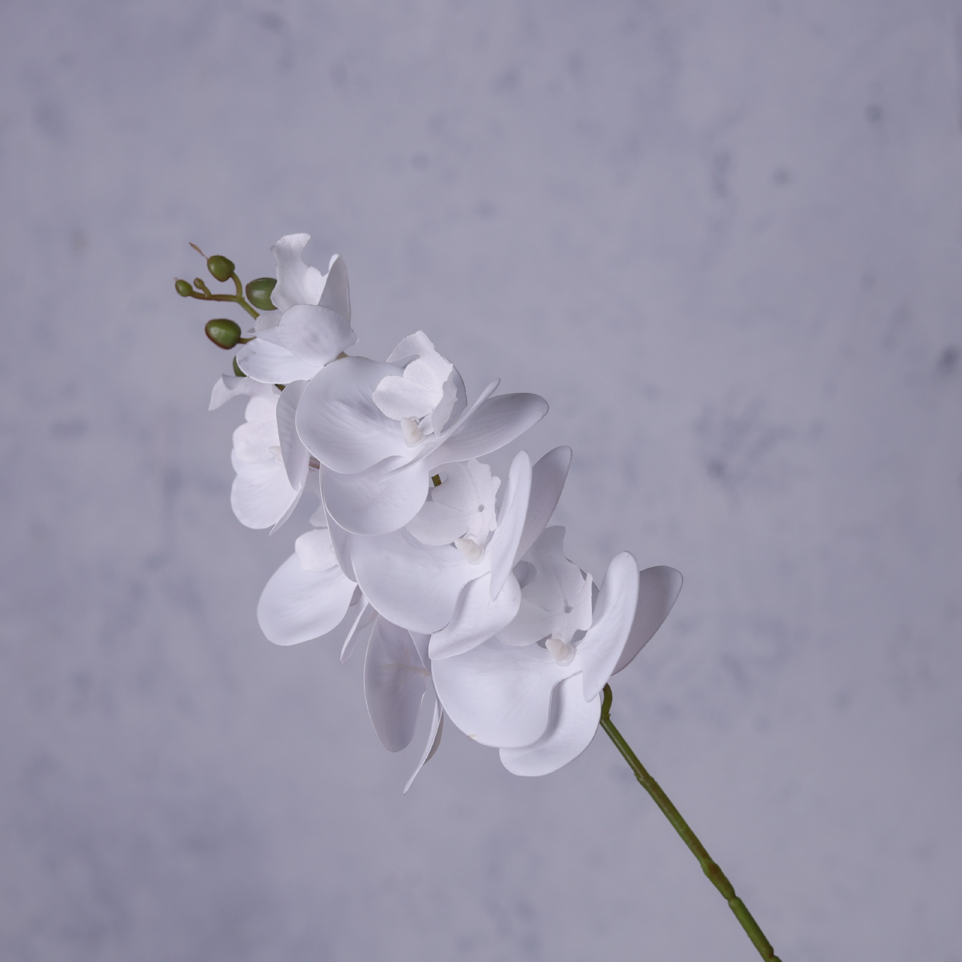 Impresión 3D de 7 cabezas de orquídeas mariposa flor de decoración de flores de alto nivel flor de nicho decoración floral decoración de sala de estar