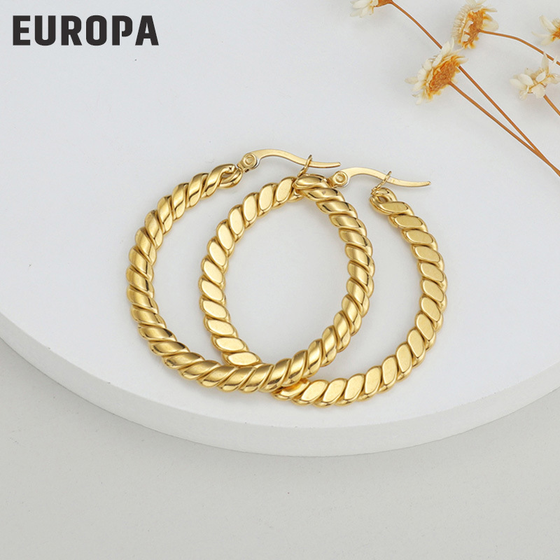 European And American Fashion Twisted Wire 14k Titanium Steel Earrings Wholesale display picture 4