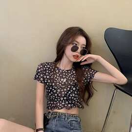 网纱小雏菊短袖T恤ins2025夏季新款碎花微透修身短款露脐上衣女潮