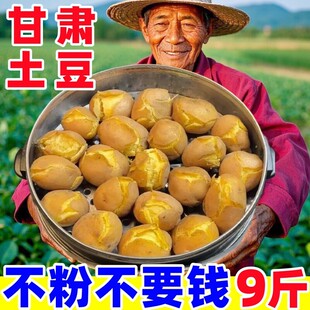 ���ڸ��C��������9��ɳ���S���R����߲�����ɳ�طNֲ���r�F��