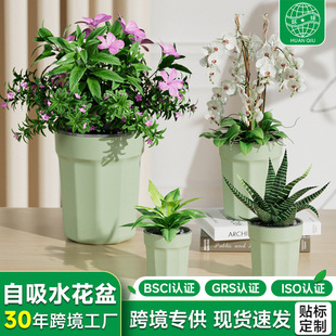 �羳��������ˮ�����❲ˮ͸���ظ���֬ˮ�������Gֲ�����ϻ���