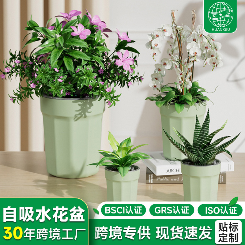 Maceta con Autorriego, Sin Necesidad de Regar, Maceta Hidropónica de Resina Transparente con Control de Raíces, Maceta para Plantas Verdes Suculentas, Maceta de Plástico