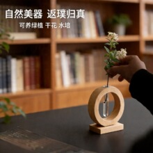 新款实木水培器养生趣味高级感家居创意桌面摆件装饰品木制工艺品