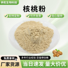 核桃粉  核桃提取物 核桃仁粉 山核桃粉  1KG起 厂家包邮