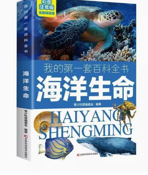 详情图