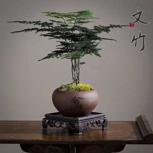 ��������ֲ���҃ȃ����՚��k���ҾGֲ�����辰����С