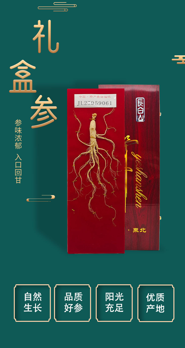 Dried Ginseng Root Gift Box Renshen 10g Wooden Gift Set for Cooking and Traditional Herbal Use overview