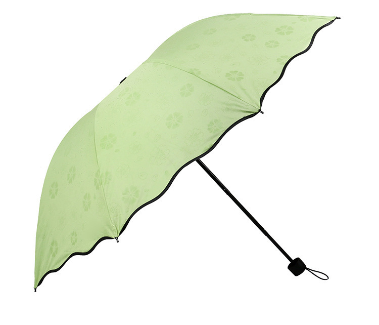 遇水开花雨伞黑胶防紫外线伞遮阳伞太阳伞logo工厂批发便携折叠-阿里巴巴