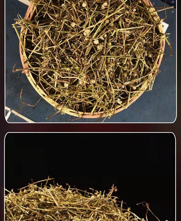 Bai Hua She She Cao Dried Hedyotis Herb 500g Traditional Chinese Herbal Tea Ingredient in use