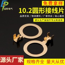 10.2圆形接线片  10.2圆形接线端子接地片 M10接线片DJ4311-10.2A