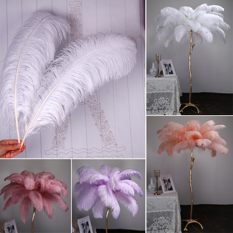 Plumas de avestruz bodas blancas de avestruz guía de plumas accesorios de fotos adornos rojo rosado en línea grandes plumas decoración