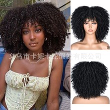 NEWLOOK ޼ٰlը^lafrican braided wig趨