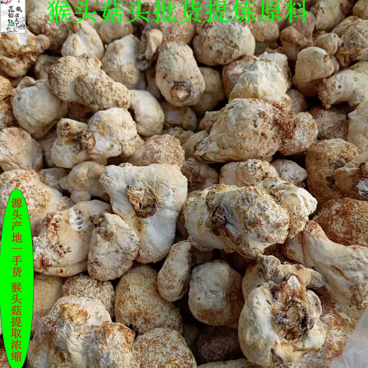 鑫榕钰 猴头菇批发干货 药厂食品厂提取原料大量直供