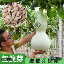 ����J�N�Ӿ��ͺ��J�ѷN�����Դ�ȫ�ˌ�Λρ����������С���J�N��