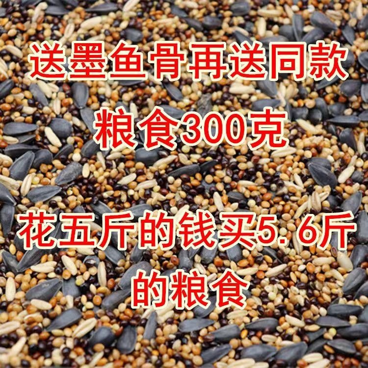 虎皮牡丹玄凤中小型鹦鹉鸟食饲料五色黍子鹦鹉混合营养粮谷子包邮