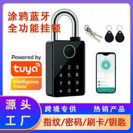 跨境涂鸦智能指纹挂锁户外防锈家用庭院门密码院门电子锁密码锁