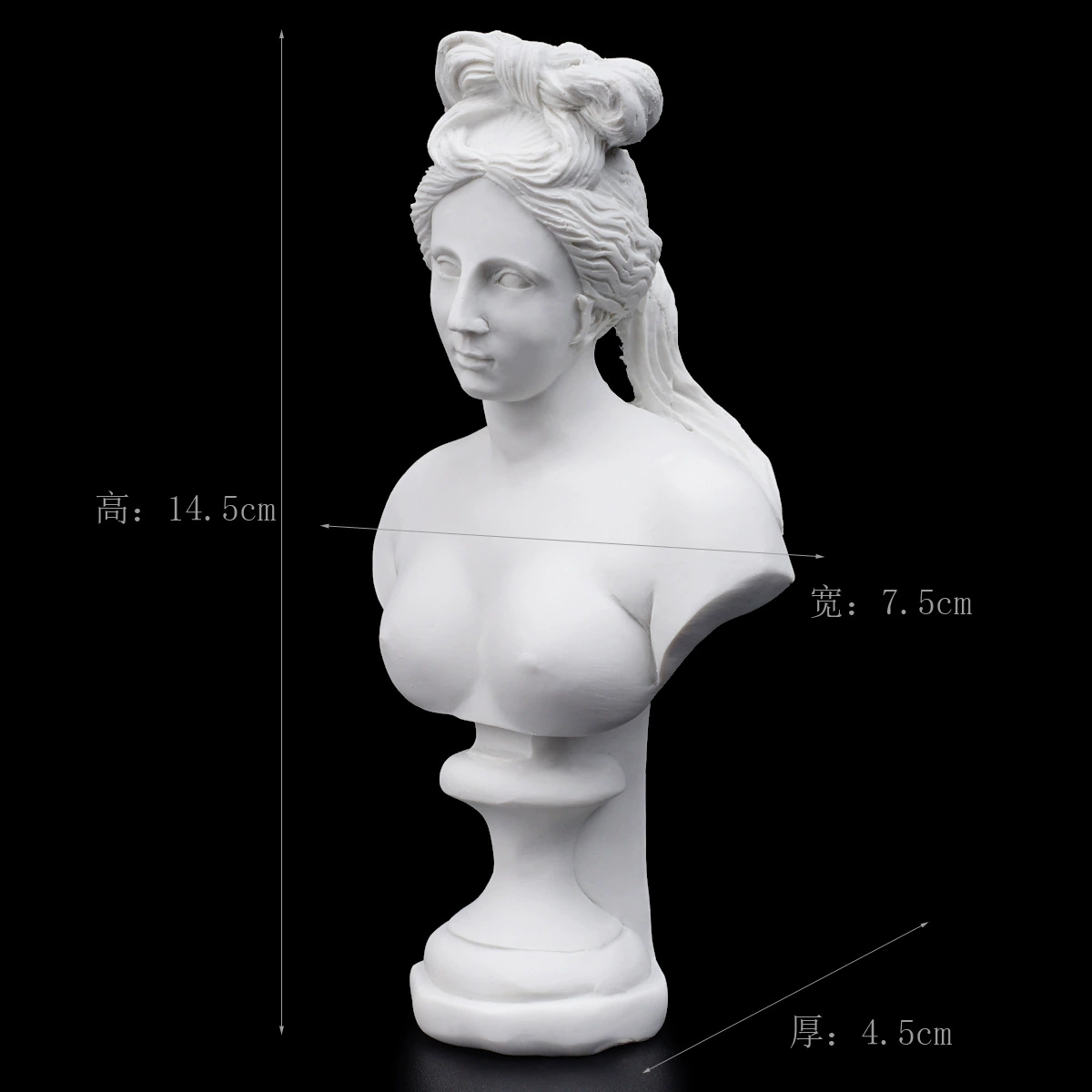Gypsum avatar art sketch teaching aid sketching practice home decoration art carving window decoration