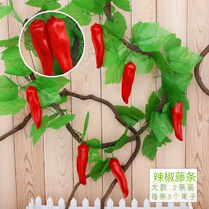 큰 고추(2팩)