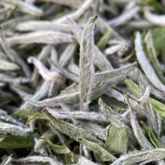 アイスキャンディー甘い日焼け白茶2025年春茶白ミリ銀針福頭採鼎米粒芽銀針ばら積源工場