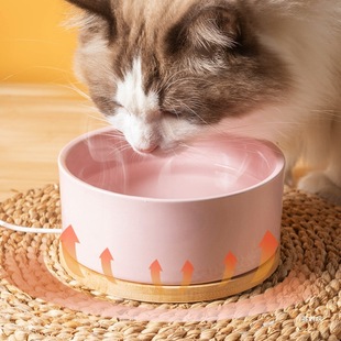 Cat Bowl Constant Temperature Heated Ceramic Bowl Pet Dog Bowl Winter Cat Food Bowl Water Dispenser Dog Drinking Water Pet Competition Flavor