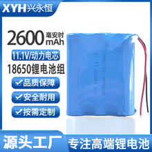 11.1V�늳ؽM18650����늳�2600mAh�߱��ʷ��늄ӹ���12V늳ؽM