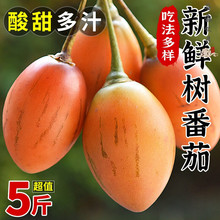 ��ϱ�ɽ��䷬�������Ѻ�Ҋϡ��ˮ���������rˮ����S���]