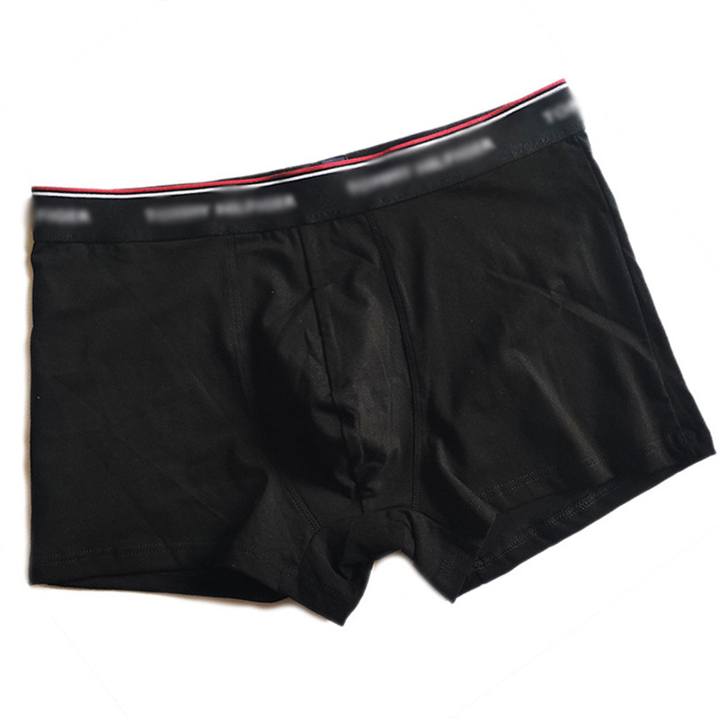 Boys' Cotton Underwear, Triangle and Square, 5 Colors, Wide Waistband, Trendy Brand Underwear, Cotton, Cross-Border Export Dropshipping