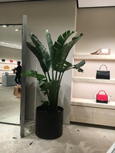 �������ԾGֲ�����B�������U�����B���~�������B�k����ֲ�������B