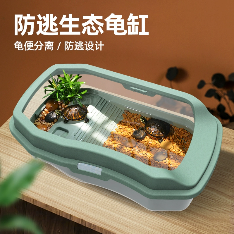 Черепаха танк с солнечной стеной Экологическая ландшафтная вилла