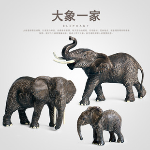 �羳����������ģ�����b���޴����ͪw���Lë���b����kģ�����