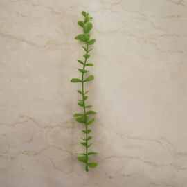 仿真植物尤加利装饰 藤条壁挂人造树叶塑料假花人造藤条水草配件