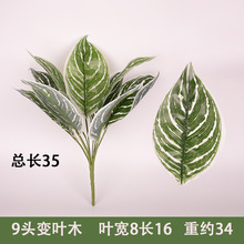 �S��ֱ�N׃�~ľ�Gֲ���廨�^�z9�^�f���������~���҃���[�Ż�ˇ