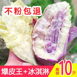 爆皮王番薯新鲜现挖白心粉面板栗薯香甜山芋冰淇淋地瓜一点红红薯