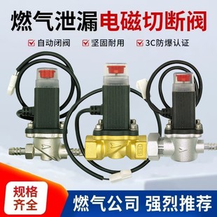 Kitchen domestic gas alarm electromagnetic shut-off valve natural gas gas liquefied gas detection leakage automatic gas cut-off